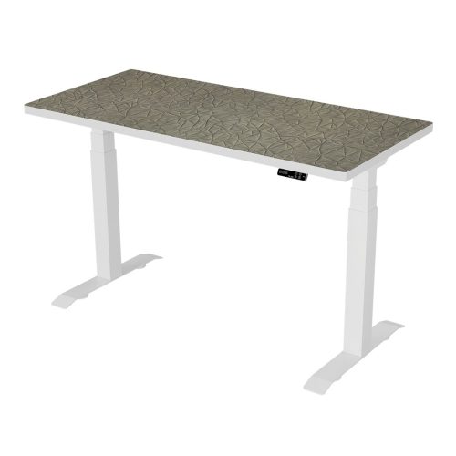 LD Onedesk 025